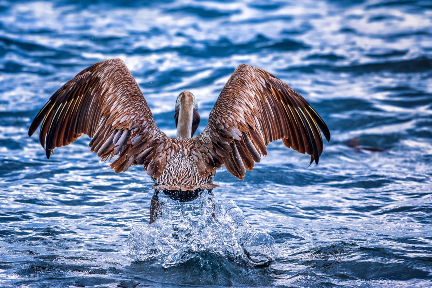 Taking Off