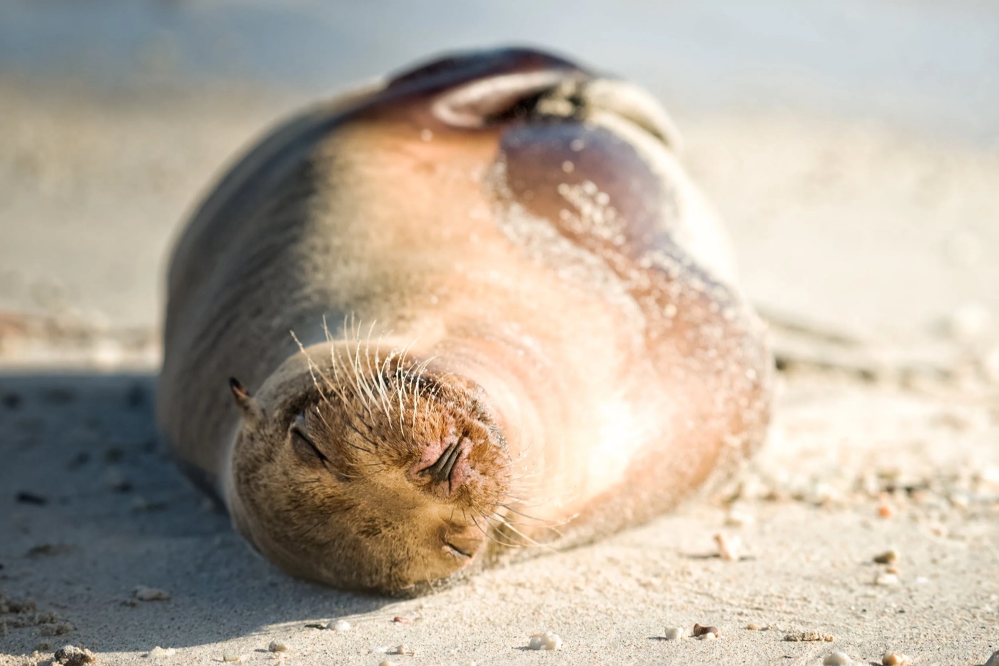 Basking in the sunshine