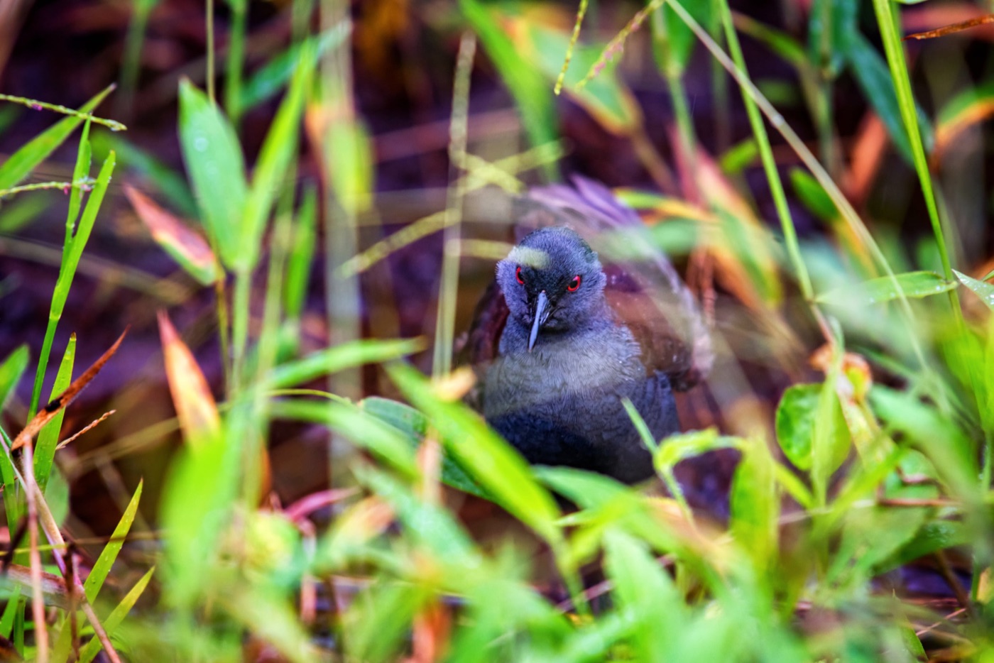 I see you.jpg